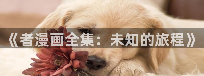 香蕉文化漫画入口在哪里