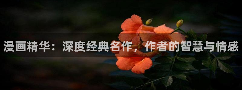 香蕉文化漫画：漫画精华：深度经典名作，作者的智慧与情感