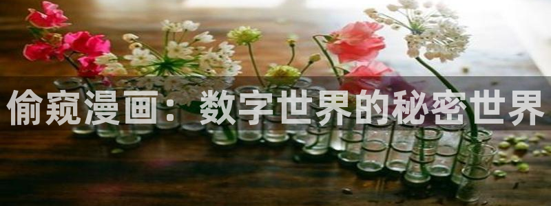 香蕉漫画下拉式阅读星球：偷窥漫画：数字世界的秘密世界