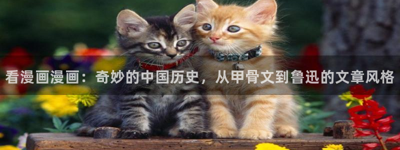 香蕉文化漫画官网
