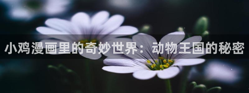香蕉羞羞漫画：小鸡漫画里的奇妙世界：动物王国的秘密
