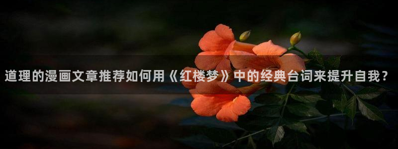 香蕉漫画免费网页版阅读：道理的漫画文章推荐如何用《红楼梦》中的经典台词来提升自我？