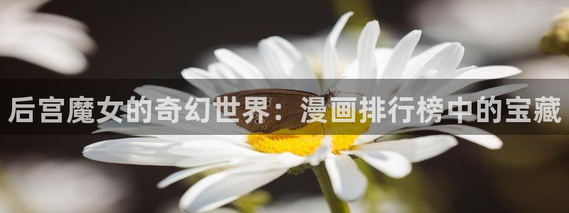 香蕉漫画网入口：后宫魔女的奇幻世界：漫画排行榜中的宝藏