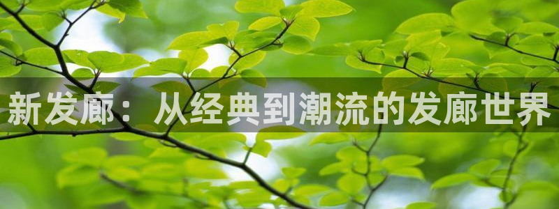 www.香蕉漫画：新发廊：从经典到潮流的发廊世界