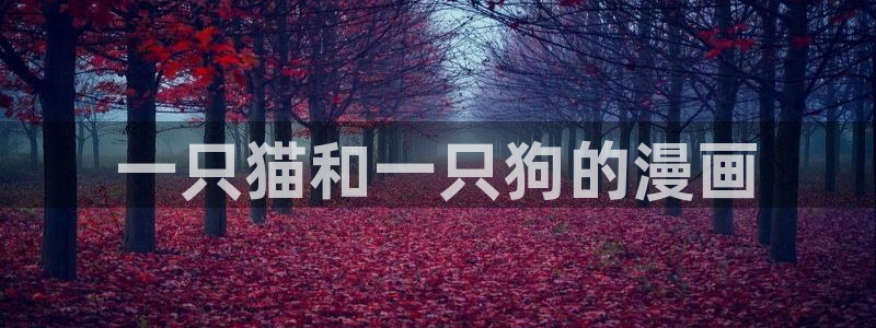 洞洞杂货店(漫画)香蕉文化：一只猫和一只狗的漫画