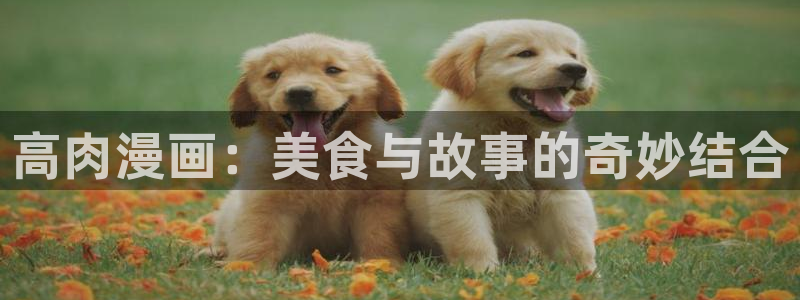 香蕉漫画免费弹窗入口：高肉漫画：美食与故事的奇妙结合