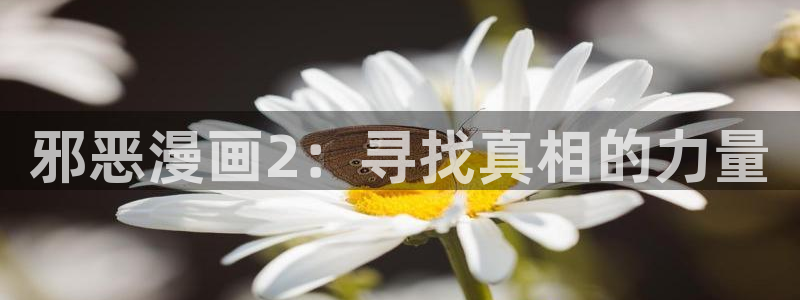 香蕉文化漫画书免费阅读平台网页版：邪恶漫画2：寻找真相的力量
