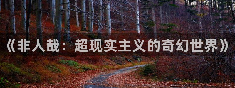 香蕉漫画下拉式：《非人哉：超现实主义的奇幻世界》