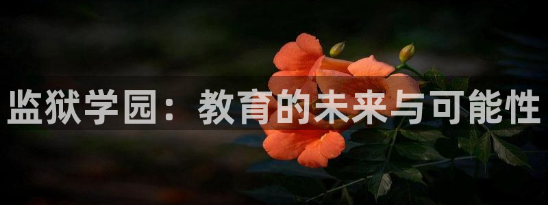 香蕉漫画弹窗：监狱学园：教育的未来与可能性